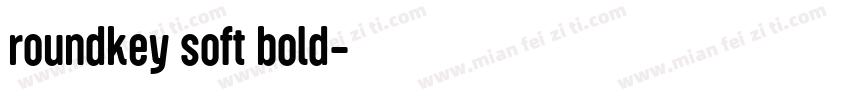 roundkey soft bold字体转换